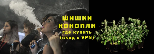 Альфа ПВП Аркадак