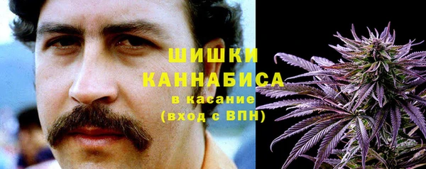 Альфа ПВП Аркадак