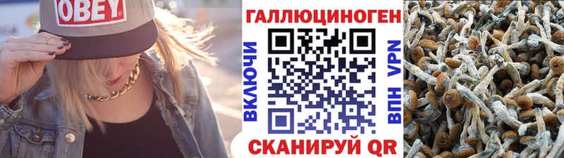 Псилоцибиновые грибы GOLDEN TEACHER MEGA tor Афипский